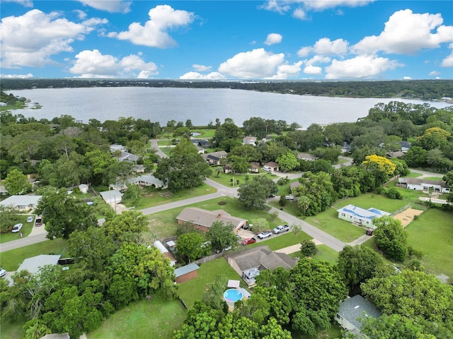 6746 Osceola Dr, Mount Dora, FL 32757 - photo 40