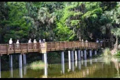 6746 Osceola Dr, Mount Dora, FL 32757 - photo 50