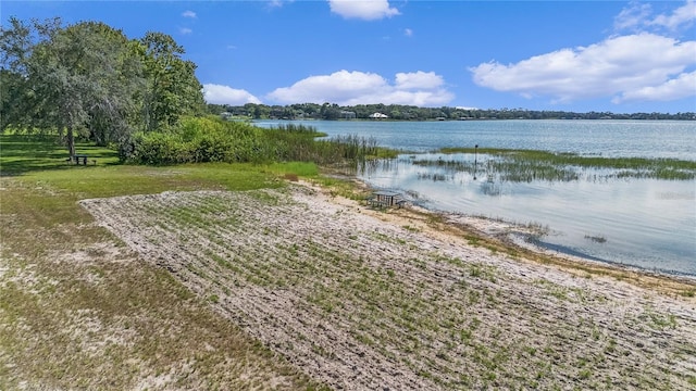 6746 Osceola Dr, Mount Dora, FL 32757 - photo 63