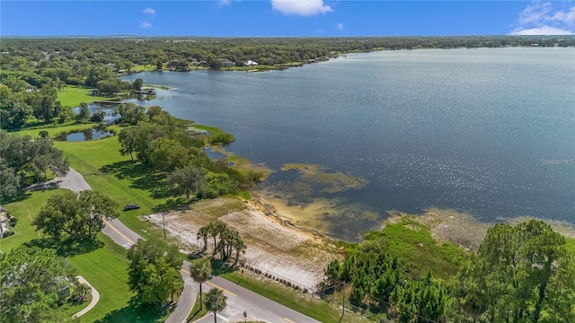 6746 Osceola Dr, Mount Dora, FL 32757 - photo 65