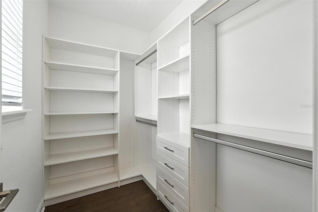 15315 Gilligan Ct, Winter Garden, FL 34787 - walk in closet with dark wood finished floors