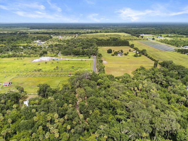 2301 Jeslan Ct, Oviedo, FL 32765 - photo 26