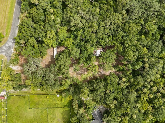 2301 Jeslan Ct, Oviedo, FL 32765 - photo 23