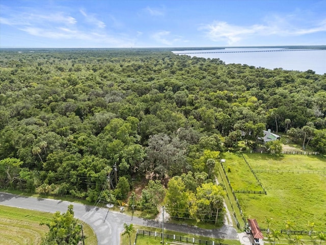 2301 Jeslan Ct, Oviedo, FL 32765 - photo 21