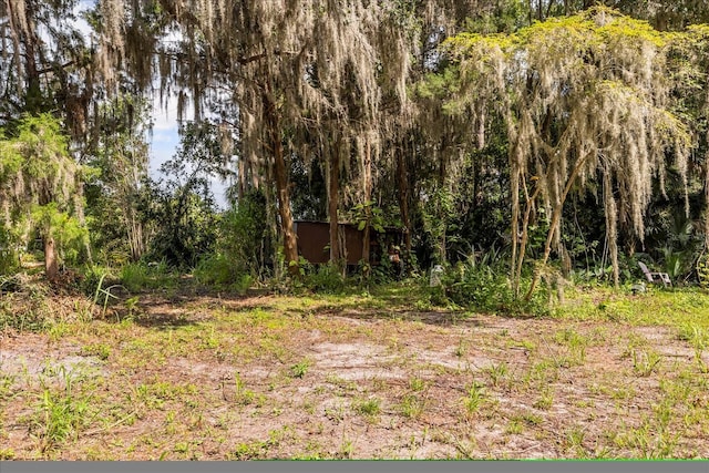 2301 Jeslan Ct, Oviedo, FL 32765 - photo 8