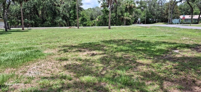 1592 Center St, Deland, FL 32720 - photo 3