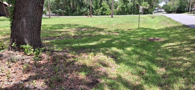 1592 Center St, Deland, FL 32720 - photo 11