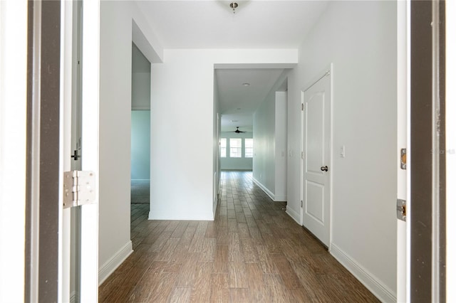 15586 Hamlin Blossom Ave, Winter Garden, FL 34787 - hall featuring wood finished floors and baseboards