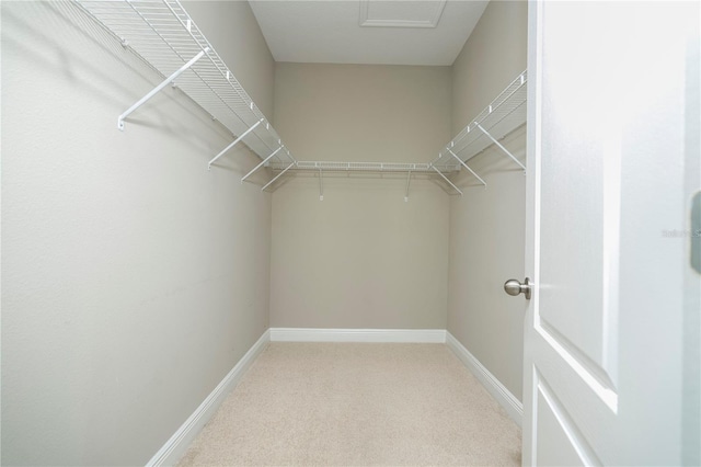 15586 Hamlin Blossom Ave, Winter Garden, FL 34787 - walk in closet featuring light colored carpet