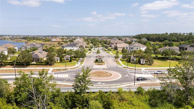 15586 Hamlin Blossom Ave, Winter Garden, FL 34787 - aerial view of residential area