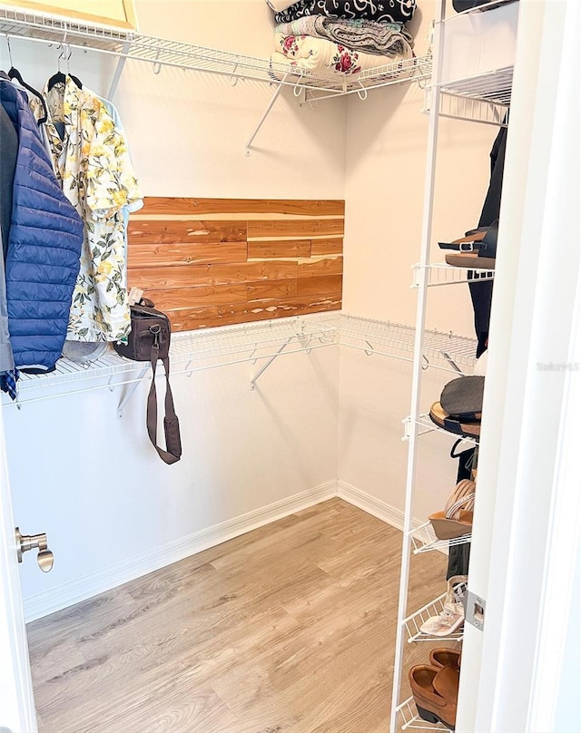 8004 Sweet Orange Ave, Winter Garden, FL 34787 - spacious closet with wood finished floors