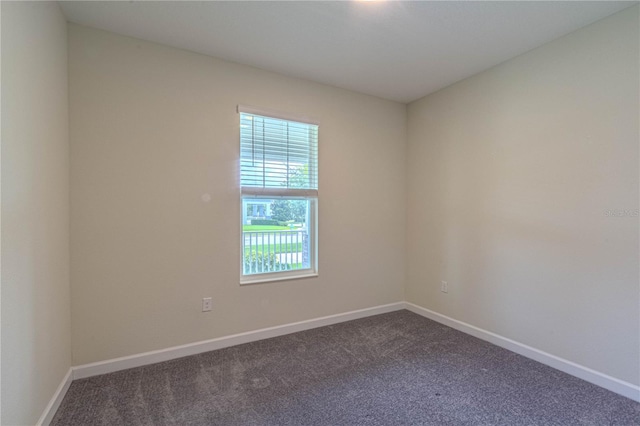 7524 Summerlake Groves St, Winter Garden, FL 34787 - spare room with carpet flooring