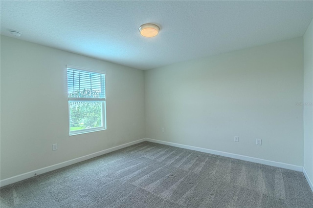 7524 Summerlake Groves St, Winter Garden, FL 34787 - spare room with carpet and a textured ceiling