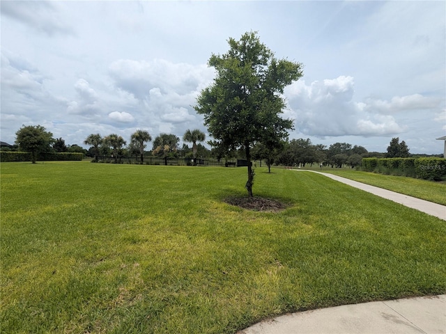 7524 Summerlake Groves St, Winter Garden, FL 34787 - view of green lawn
