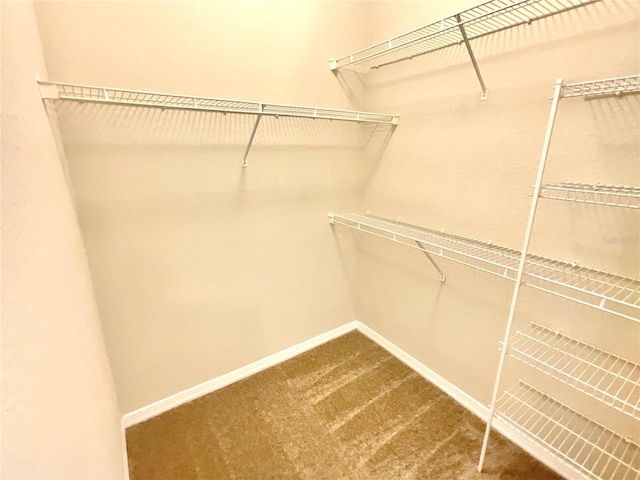 1375 Lake Shadow Cir Unit 11203, Maitland, FL 32751 - spacious closet featuring carpet