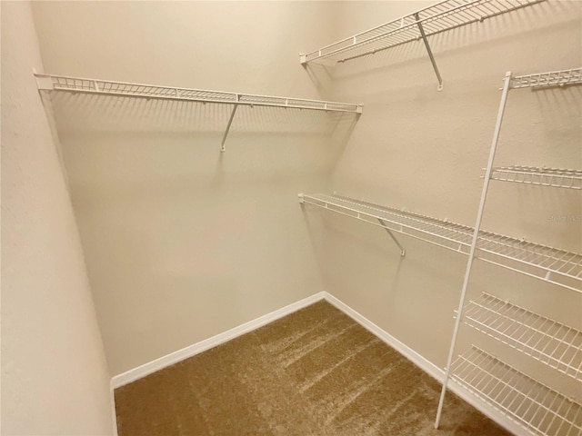 1375 Lake Shadow Cir Unit 11203, Maitland, FL 32751 - walk in closet featuring dark carpet