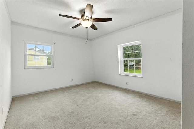 560 Ora Dell Ave, Titusville, FL 32796 - photo 36