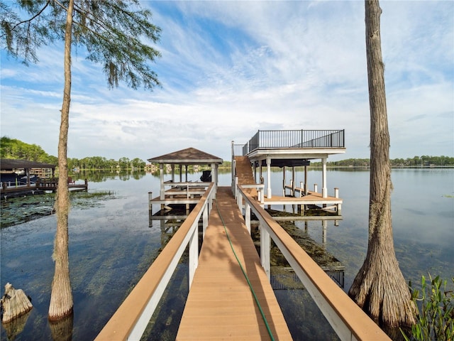 5410 Bay Side Dr, Orlando, FL 32819 - photo 48