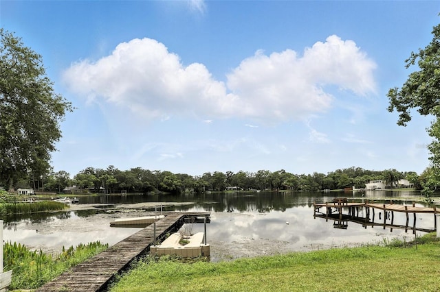 1321 Maury Rd, Orlando, FL 32804 - photo 52