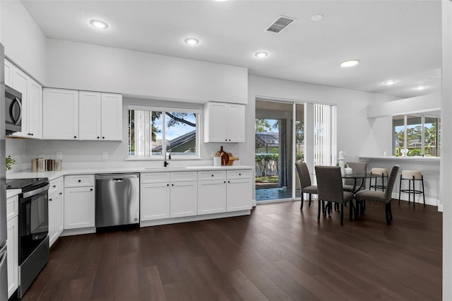 1121 Needlewood Loop, Oviedo, FL 32765 - kitchen with stainless steel appliances, light countertops, dark wood-type flooring, plenty of natural light, and recessed lighting