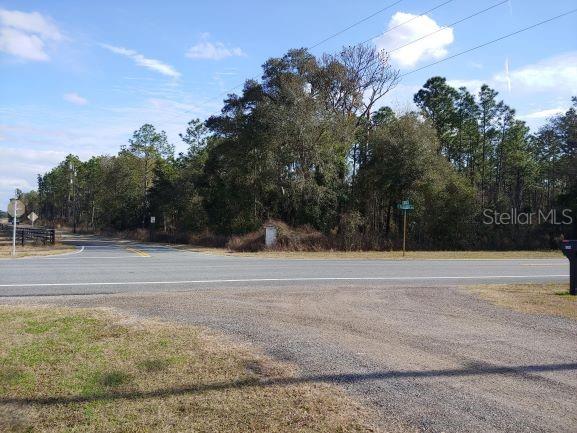 11980 S Iris Pt, Floral City, FL 34436 - photo 3