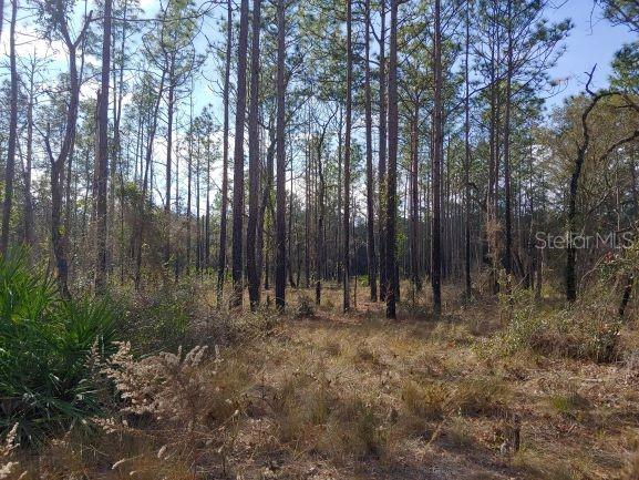 11980 S Iris Pt, Floral City, FL 34436 - photo 4