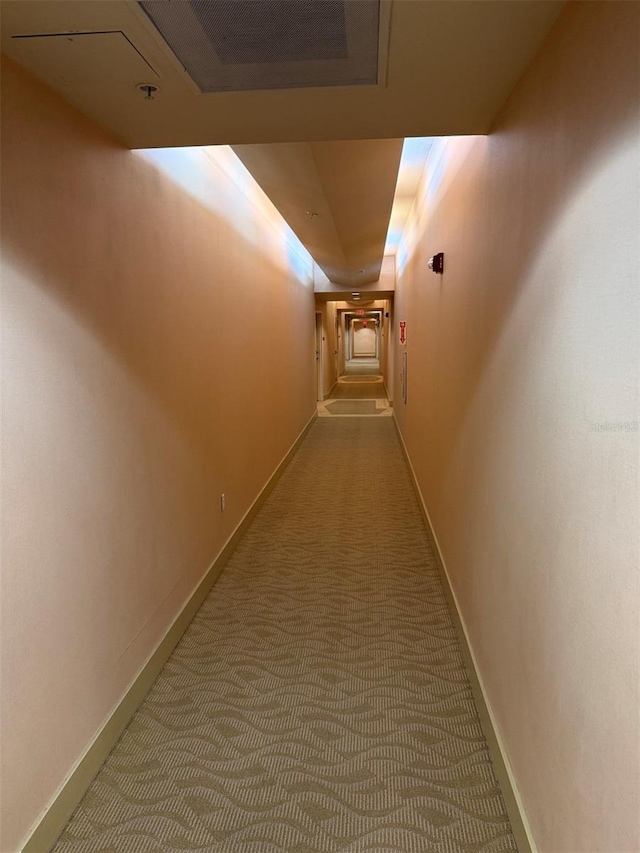 155 S Court Ave Unit 1104, Orlando, FL 32801 - photo 26