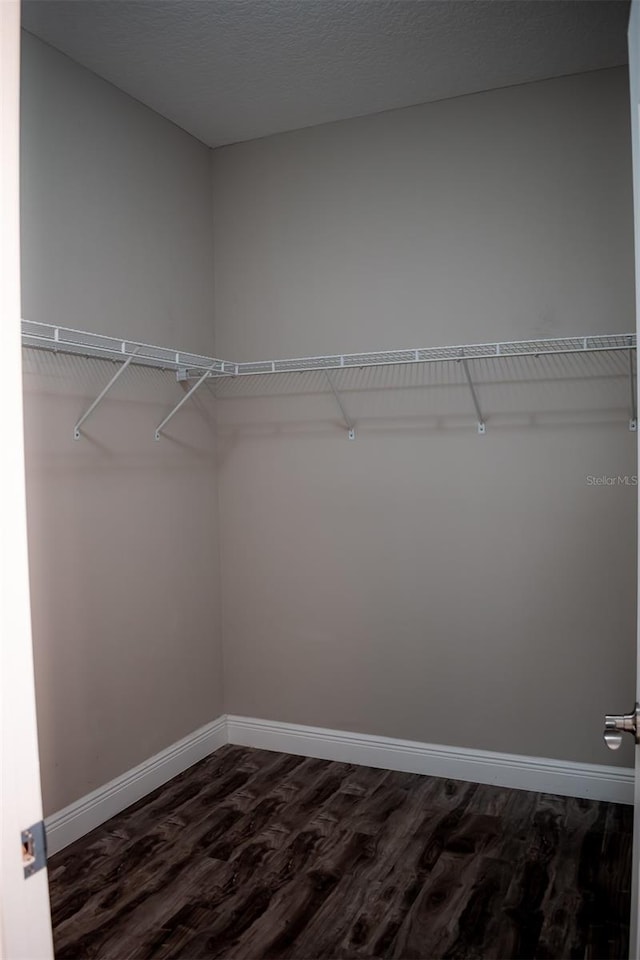 14419 Magnolia Ridge Loop, Winter Garden, FL 34787 - photo 23