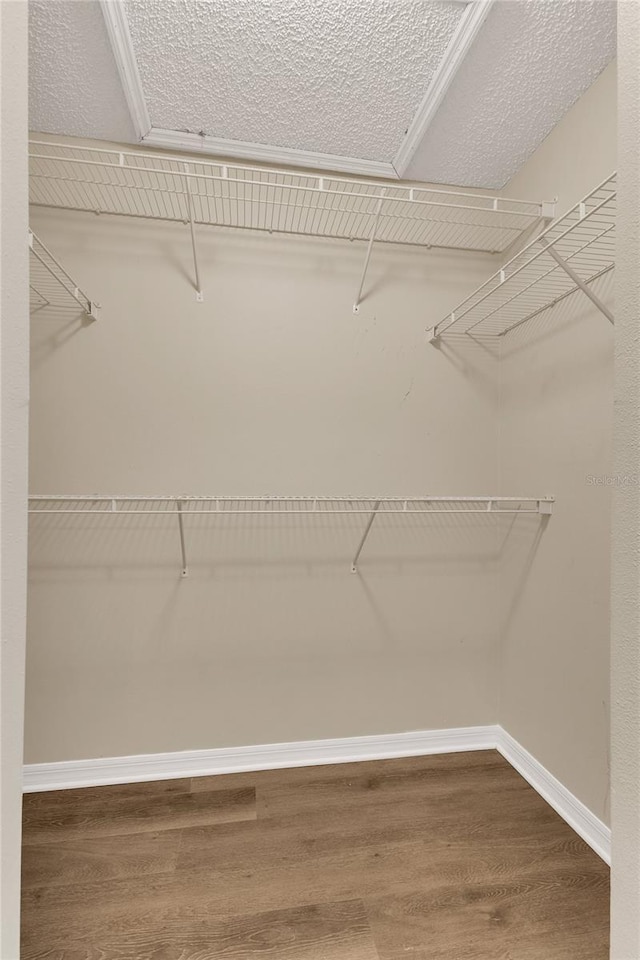 1617 Fairlight St NW, Palm Bay, FL 32907 - spacious closet with wood finished floors