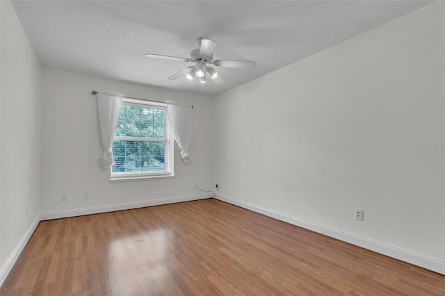 3115 Heartleaf Pl, Winter Park, FL 32792 - photo 49