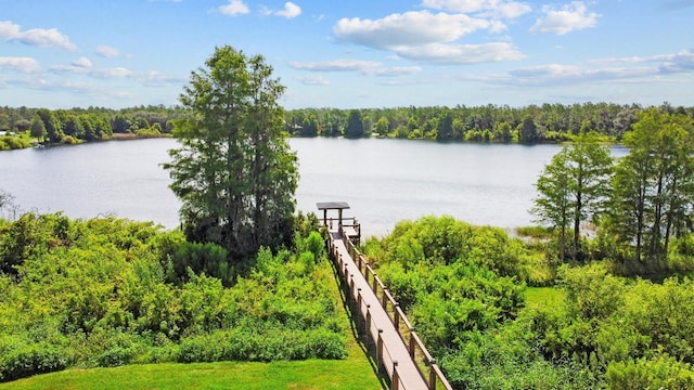 5209 Cape Hatteras Dr, Clermont, FL 34714 - water view featuring a forest