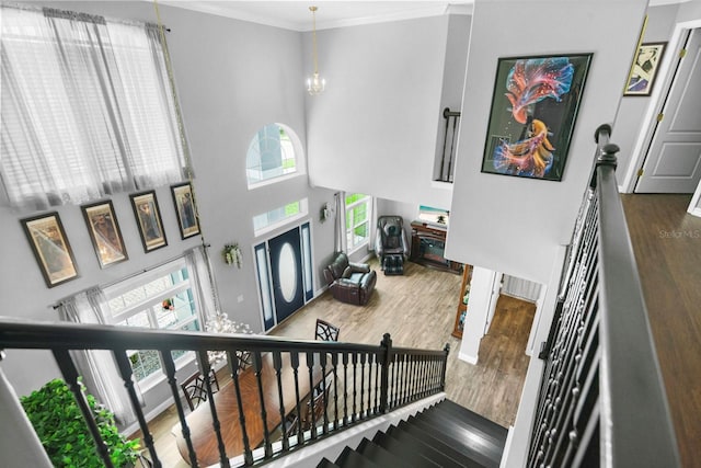 5209 Cape Hatteras Dr, Clermont, FL 34714 - stairs with wood finished floors, a towering ceiling, a chandelier, and ornamental molding
