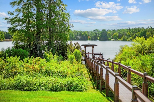 5209 Cape Hatteras Dr, Clermont, FL 34714 - water view with a forest