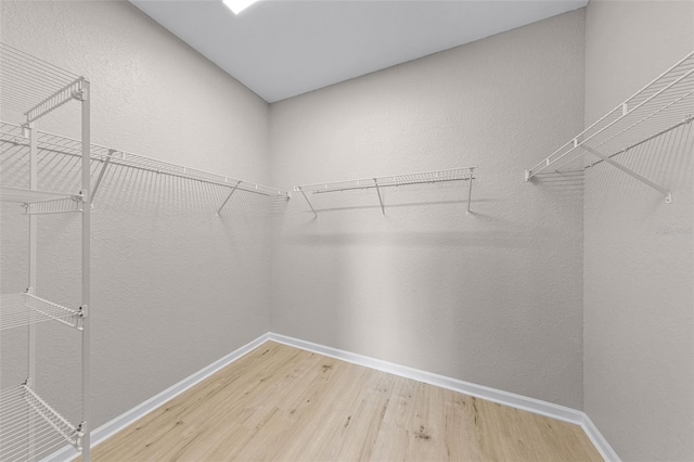 2484 San Tecla St Unit 309, Orlando, FL 32835 - photo 10