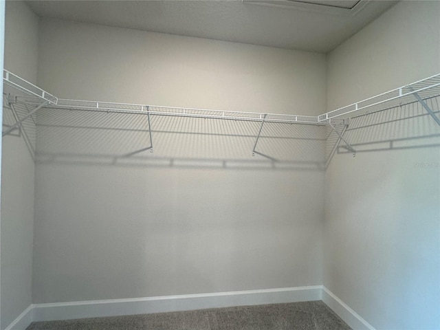 4038 Sagefield Dr, Harmony, FL 34773 - walk in closet featuring carpet floors