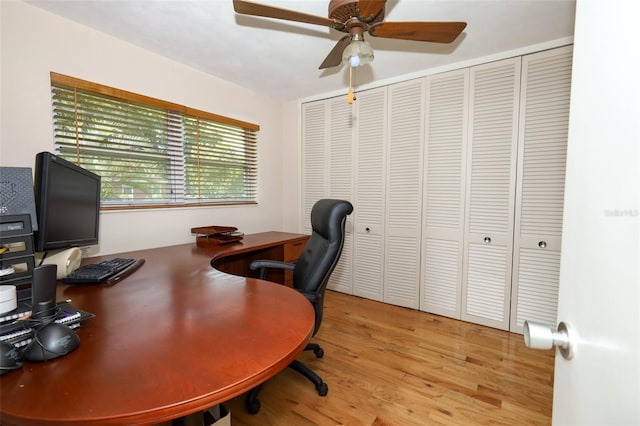 670 Palm Dr, Oviedo, FL 32765 - photo 23