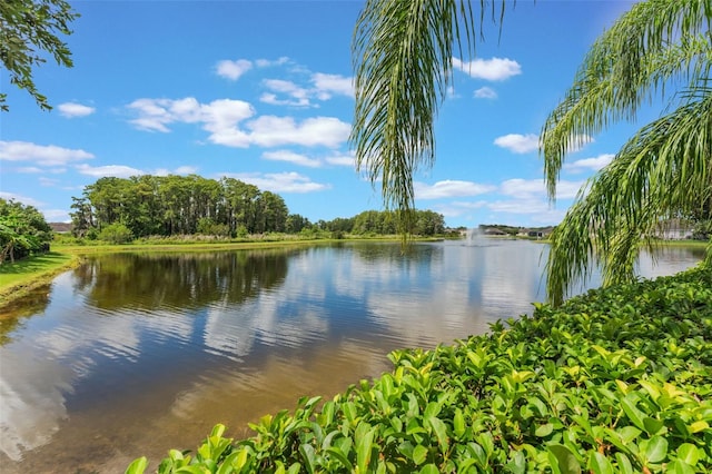 3948 Parkhouse Dr, Orlando, FL 32824 - photo 40