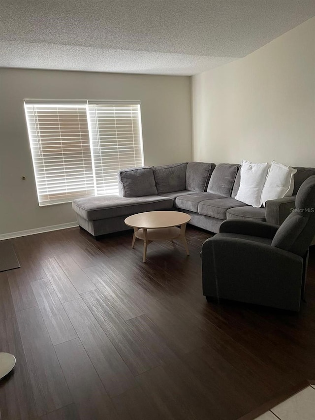 532 Koala Dr, Kissimmee, FL 34759 - living area with dark wood-type flooring and a textured ceiling