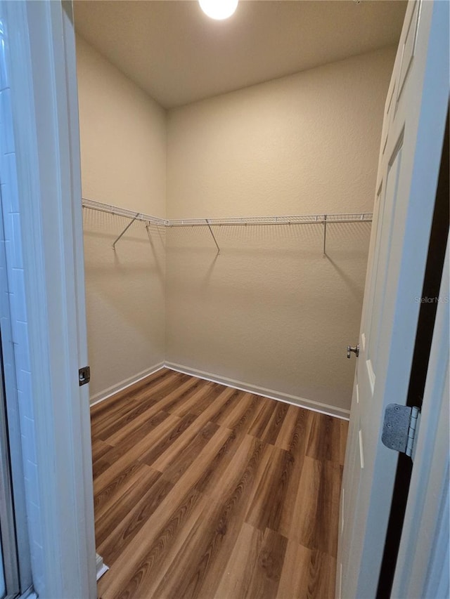 3001 Laurel Run Ln Unit 203, Kissimmee, FL 34741 - spacious closet with dark wood-type flooring
