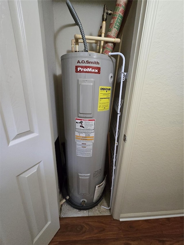 3001 Laurel Run Ln Unit 203, Kissimmee, FL 34741 - utility room with electric water heater