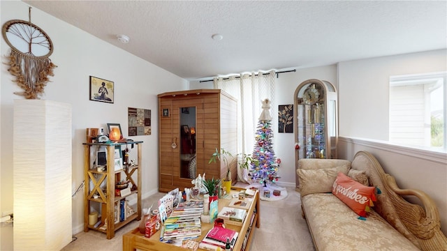 16250 Firedragon Dr, Winter Garden, FL 34787 - living room with light carpet and a textured ceiling