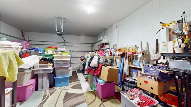 16250 Firedragon Dr, Winter Garden, FL 34787 - garage with a garage door opener