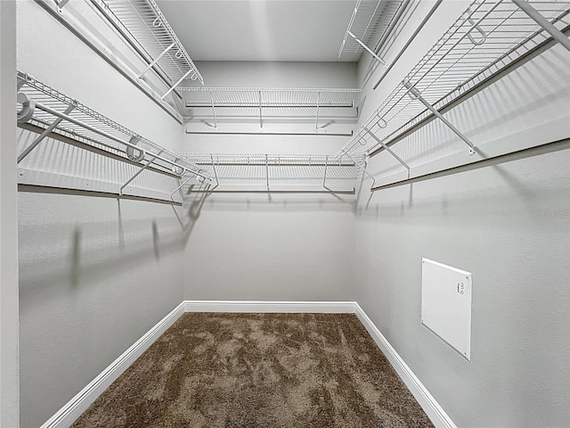 11127 Irish Moss Ave, Riverview, FL 33569 - spacious closet with carpet flooring