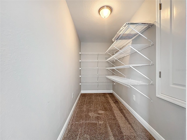 11127 Irish Moss Ave, Riverview, FL 33569 - spacious closet featuring carpet flooring