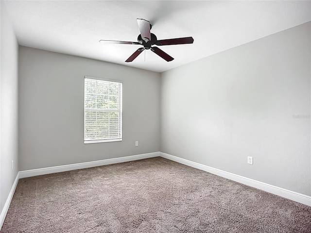 11127 Irish Moss Ave, Riverview, FL 33569 - carpeted empty room featuring baseboards and a ceiling fan