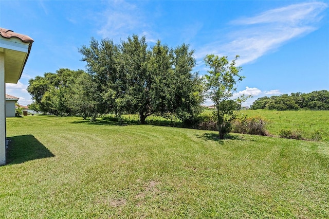 1330 Bucktail Ct, Kissimmee, FL 34746 - view of grassy yard