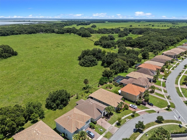 1330 Bucktail Ct, Kissimmee, FL 34746 - aerial view of residential area with a large body of water