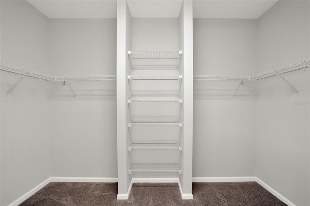 470 Briarbrook Way, Deland, FL 32724 - walk in closet with carpet