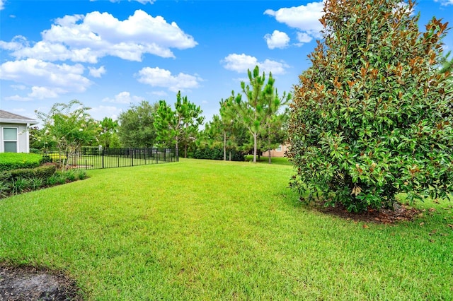 470 Briarbrook Way, Deland, FL 32724 - view of yard
