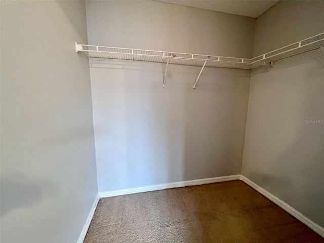 5566 Metrowest Blvd Unit 2-105, Orlando, FL 32811 - walk in closet with carpet floors